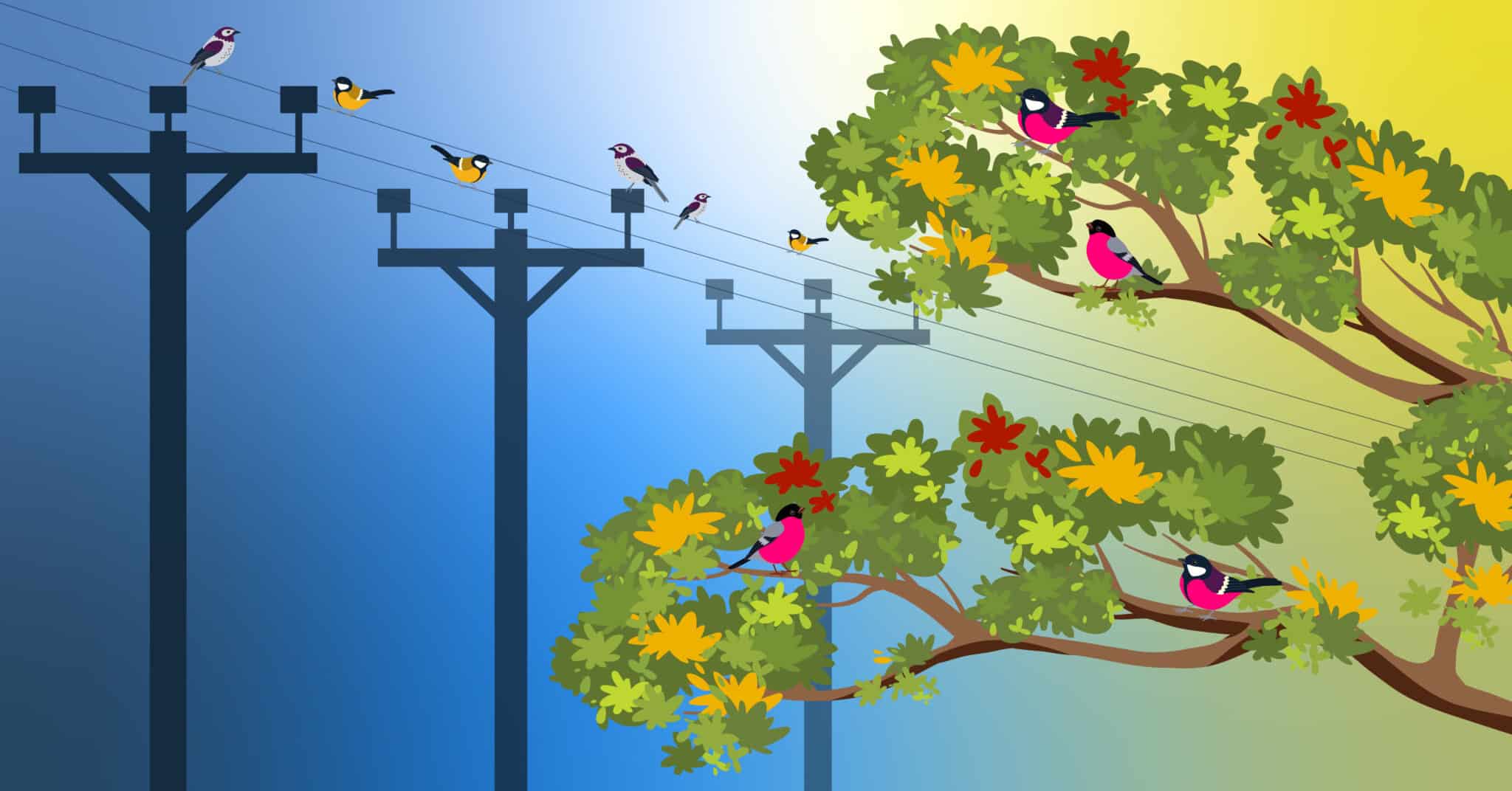 Power lines and poles span the left side of the image with birds along the power wires against blue while the right side gradients to yellow with tree branches with birds resting in the leaves sheltered from the falling snow